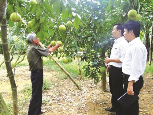 Cán bộ Agribank Hà Tĩnh thăm một mô hình vay vốn qua tổ